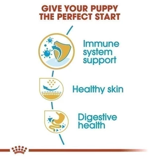 Royal Canin Pug Puppy 1.5kg อาหารเม็ดลูกสุนัข พันธุ์ปั๊ก อายุต่ำกว่า 10 เดือน (Dry Dog Food, โรยัล คานิน)