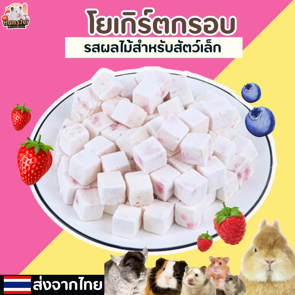 โยเกิร์ตกรอบรสผลไม้สำหรับสัตว์เลี้ยง แฮมเตอร์ เม่น กระรอก สุนัข แมว