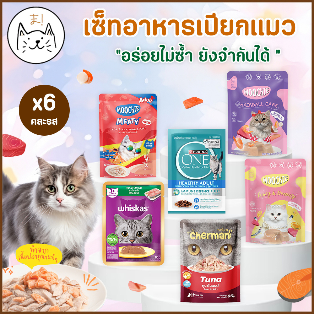 KUMAま เซ็ทอาหารเปียกแมว อร่อยไม่ซ้ำ ยังจำกันได้ x6 ซอง คละรสชาติ อาหารแมว Cat Pouch แบบซอง เพาซ์