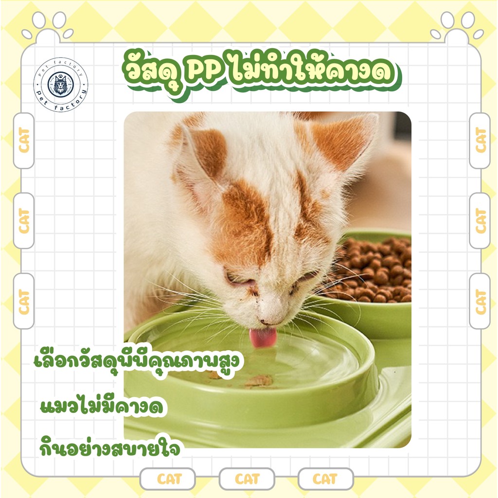การออกแบบชามคู่ ใช่ได้ตั้งกินและดื่ม การออกแบบร่องป้องกันมด สีสดใสน่ารัก