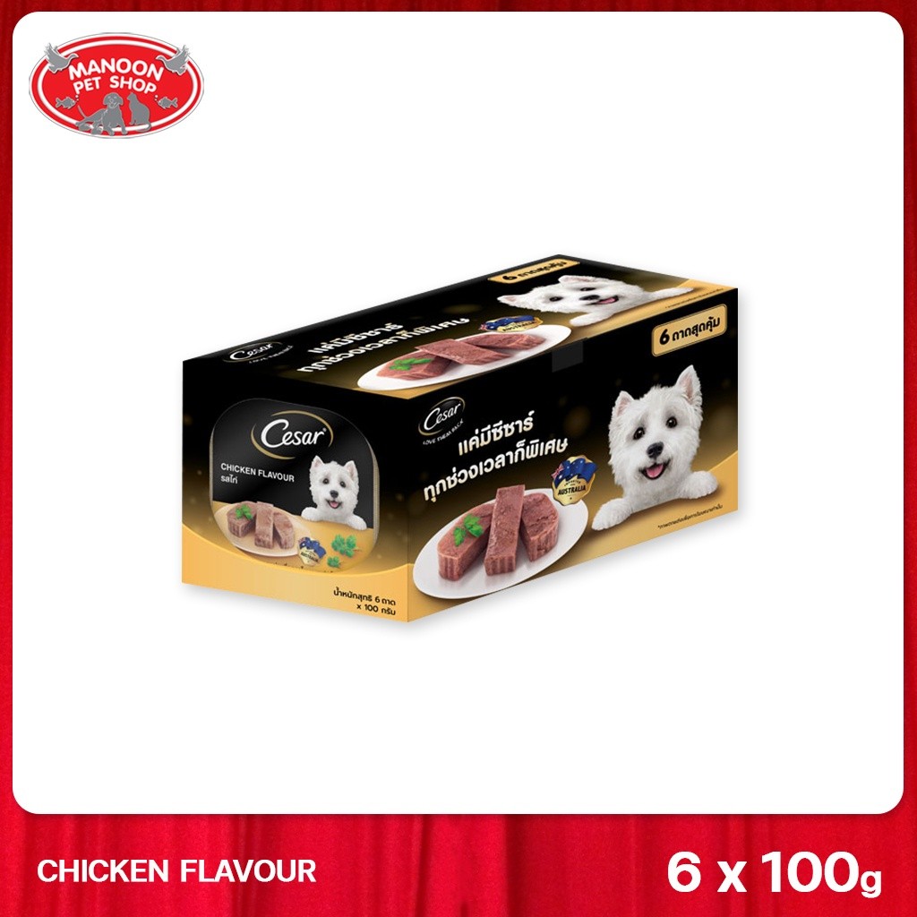 [MANOON] CESAR Multipack Dog Food Tray Chicke Flavor ซีซาร์ อาหารเปียกสำหรับสุนัข รสไก่ ชนิดถาดขนาด 