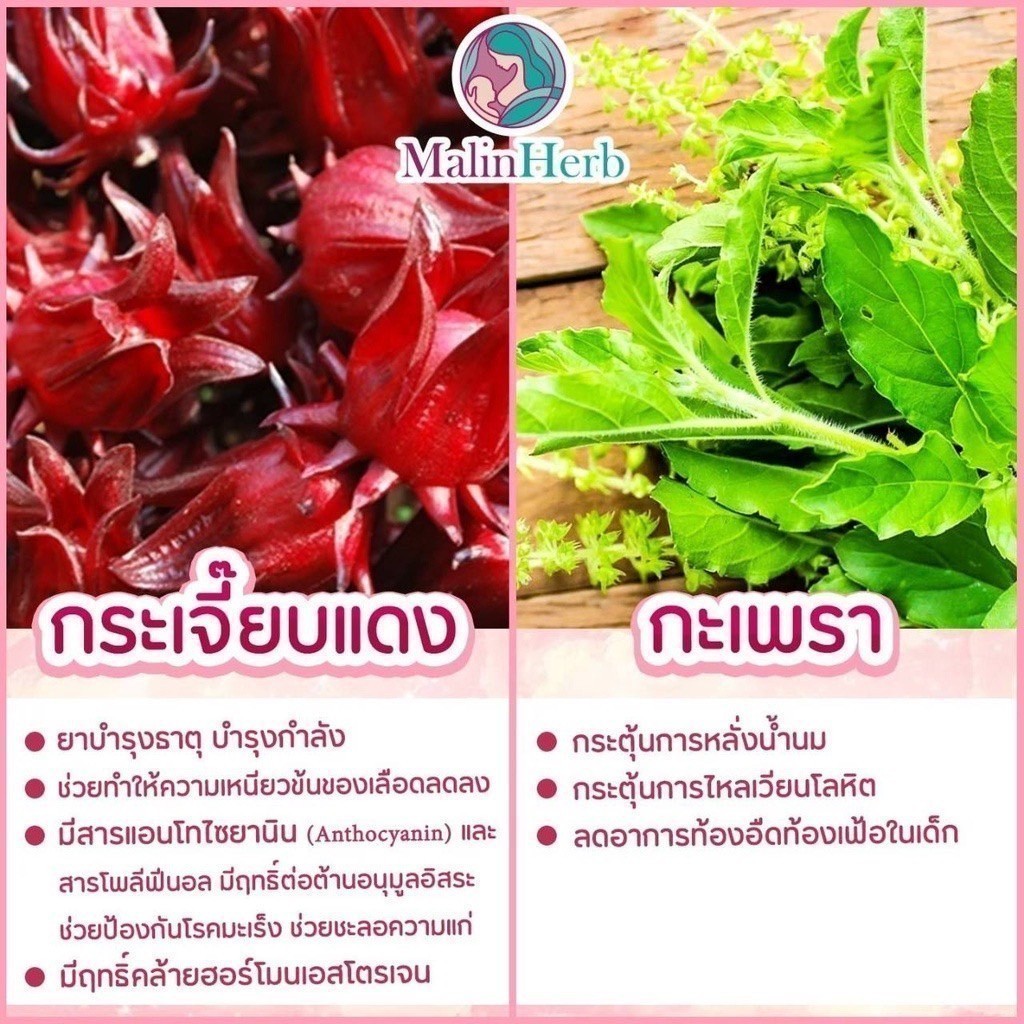 ชาเพิ่มน้ำนมแม่ อุ่นไอรัก ชาหัวปลีกระตุ้นน้ำนม ไม่มีคาเฟอีน ไม่มีน้ำตาล ธรรมชาติ 100% 1กล่องมี15 ซอง Malinherb - รูปที่ 4