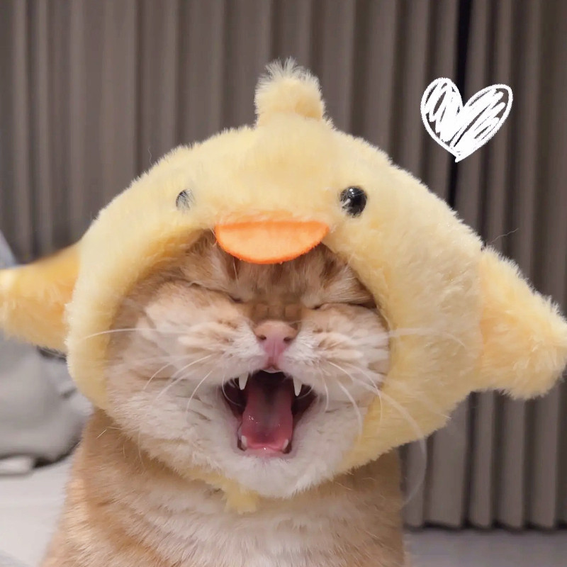 รูปภาพ 3