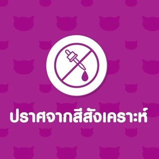 WHISKAS วิสกัส อาหารเม็ดแมวโต สูตรแมวเลี้ยงในบ้าน 1.1 กก.