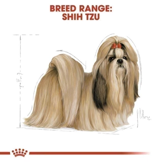 Royal Canin Shih Tzu Adult 1.5kg อาหารเม็ดสุนัขโต พันธุ์ชิห์สุ อายุ 10 เดือนขึ้นไป (Dry Dog Food, โรยัล คานิน)