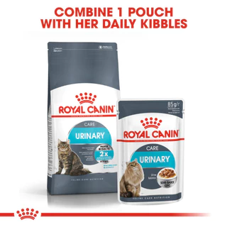 [เซตคู่สุดคุ้ม] Royal Canin Urinary Care + Urinary Care Jelly (12 ซอง) โรยัล คานิน อาหารแมวโต ดูแลระบบทางเดินปัสสาวะ