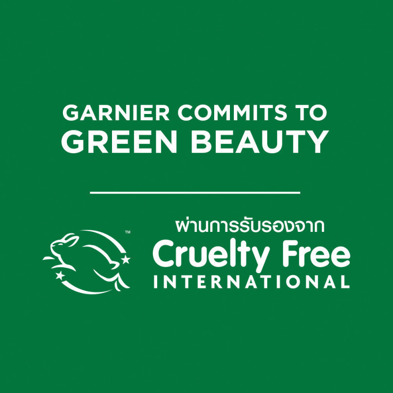 รูปภาพ 8