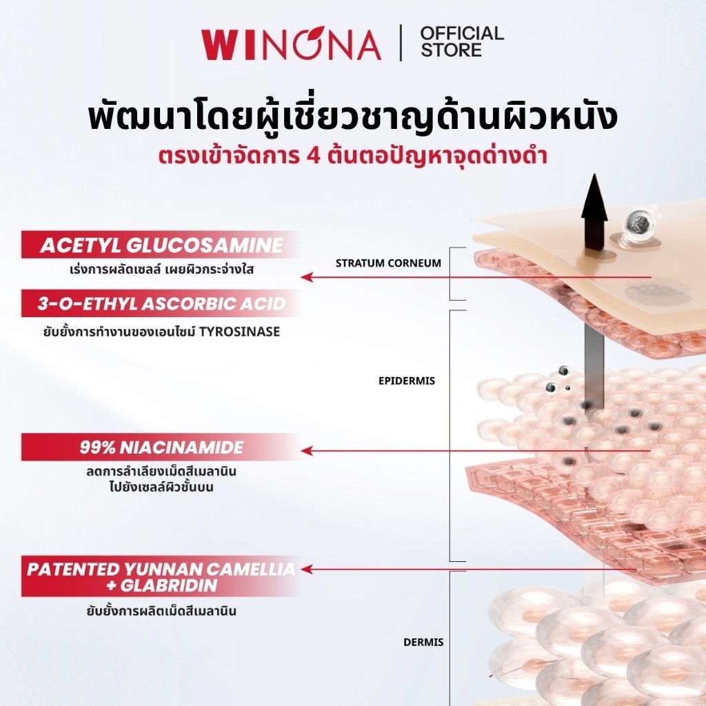 Winona Brightening & Spot - Fading วิโนน่า เอสเซนส์ลดเลือนจุดด่างดำ บูสผิวใส (1.5ml x 30 ขวด) — صورة 6