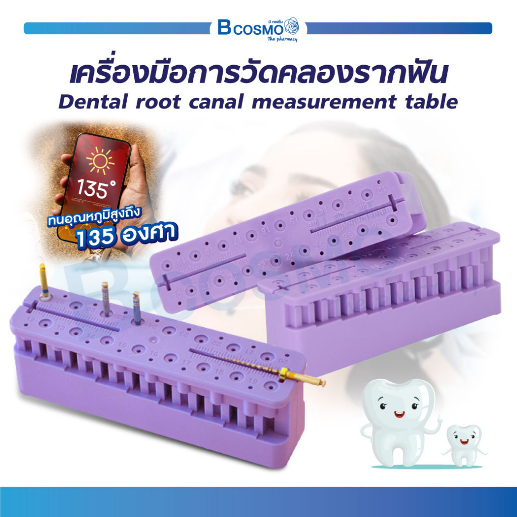 Dental Root Canal Measurement Table เครื่องมือการวัดคลองรากฟัน