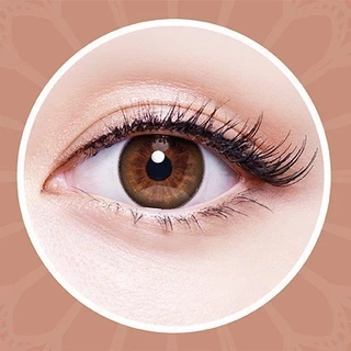 Bausch & Lomb LACELLE Grace Twinkle Brown รายเดือน คอนแทคเลนส์สี บลอช แอนด์ ลอมบ์ รุ่น 2 ชิ้น/กล่อง