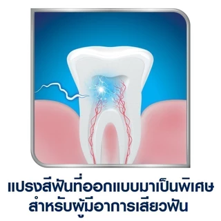 SENSODYNE DEEP CLEAN TOOTHBRUSH PACK 2 FREE 1 เซ็นโซดายน์ แปรงสีฟัน รุ่น ดีพคลีน ขนแปรงนุ่ม ซอกซอนลึกถึงซอกฟัน แพ็ค2ฟรี1