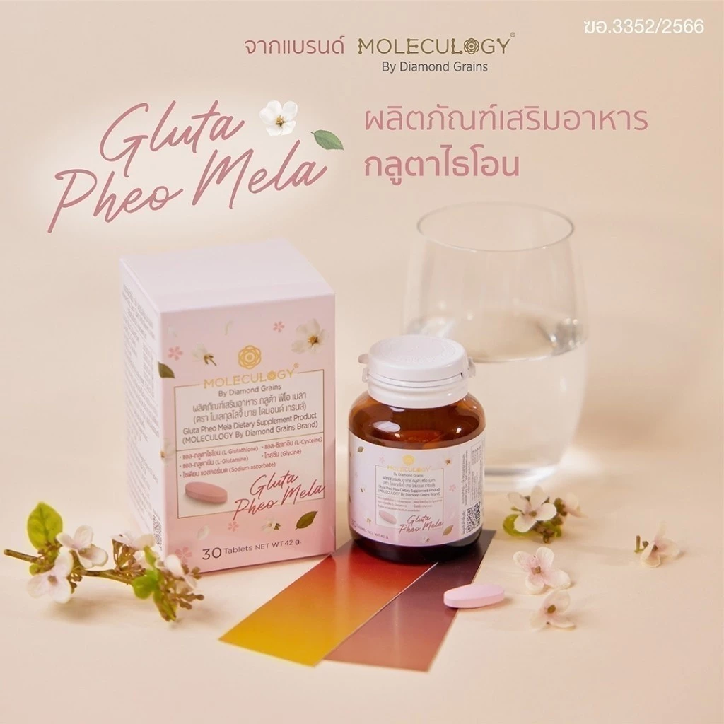Moleculogy Gluta Pheo Mela ผลิตภัณฑ์เสริมอาหาร กลูต้า ฟีโอ เมลา (30เม็ด/กระปุก) thumbnail 3