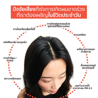 KERASTASE GENESIS แชมพูเจเนซิส สำหรับผมขาดหลุดร่วงระยะเริ่มต้น ที่มีผมเส้นเล็ก 500มล (เคเรสตาส,เจเนซิส,ผมร่วง,ยาสระผม)