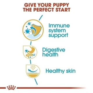 Royal Canin French Bulldog Puppy10kg อาหารเม็ดลูกสุนัข พันธุ์เฟรนช บูลด็อก อายุต่ำกว่า12เดือน(Dry Dog Food, โรยัล คานิน)