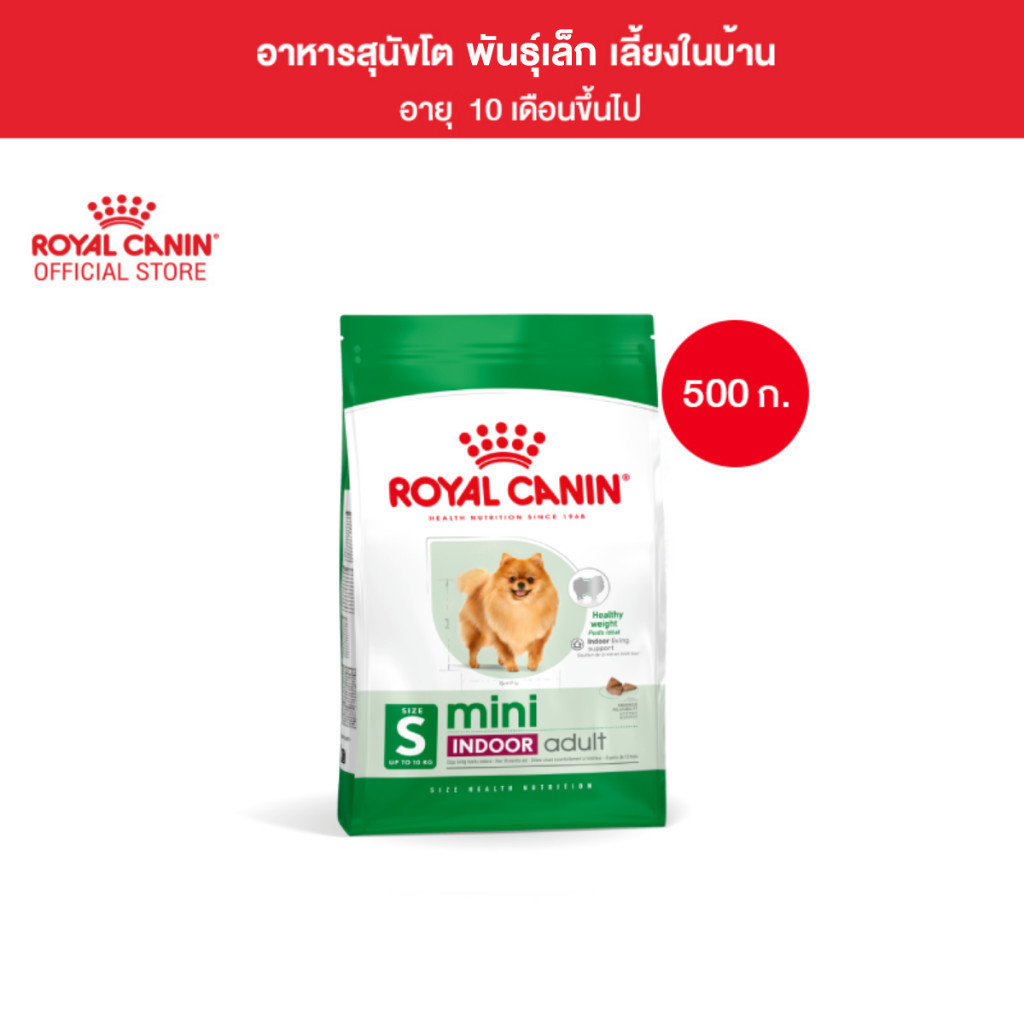 Royal Canin Mini Indoor Adult 500g อาหารเม็ดสุนัขโต พันธุ์เล็ก เลี้ยงในบ้าน อายุ10เดือน-8ปี (Dry Dog Food, โรยัล คานิน)