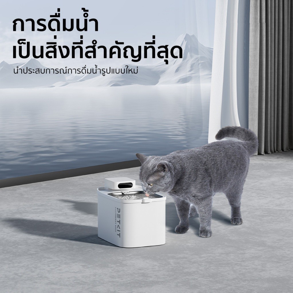 รูปภาพ 6