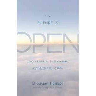 The Future Is Open : Good Karma, Bad Karma, and Beyond Karma [Paperback]