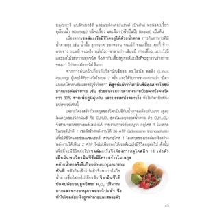NANMEEBOOKS หนังสือ น้ำผักผลไม้ปั่นต้านโรคร้าย ตำรับธรรมชาติช่วยชีวิต Alternative Health สุขภาพทางเลือก สุขภาพ