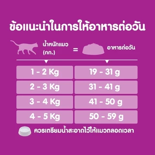 WHISKAS วิสกัส อาหารเม็ดแมวโต สูตรแมวเลี้ยงในบ้าน 1.1 กก.