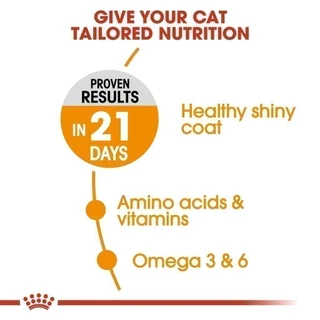 Royal Canin Hair & Skin Care 4kg อาหารเม็ดแมวโต ดูแลผิวหนังและเส้นขน อายุ 1 ปีขึ้นไป (Dry Cat Food, โรยัล คานิน)