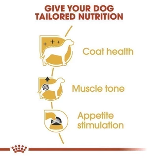 [12 ซอง] Royal Canin Poodle Adult Pouch Loaf อาหารเปียกสุนัขโต พันธุ์พุดเดิ้ล อายุ10เดือนขึ้นไป (โลฟ,โรยัล คานิน)