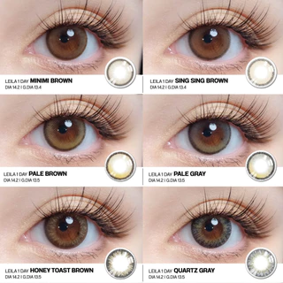 LEILA 1DAY Quartz GRAY 6ชิ้น คอนแทคเลนส์รายวัน