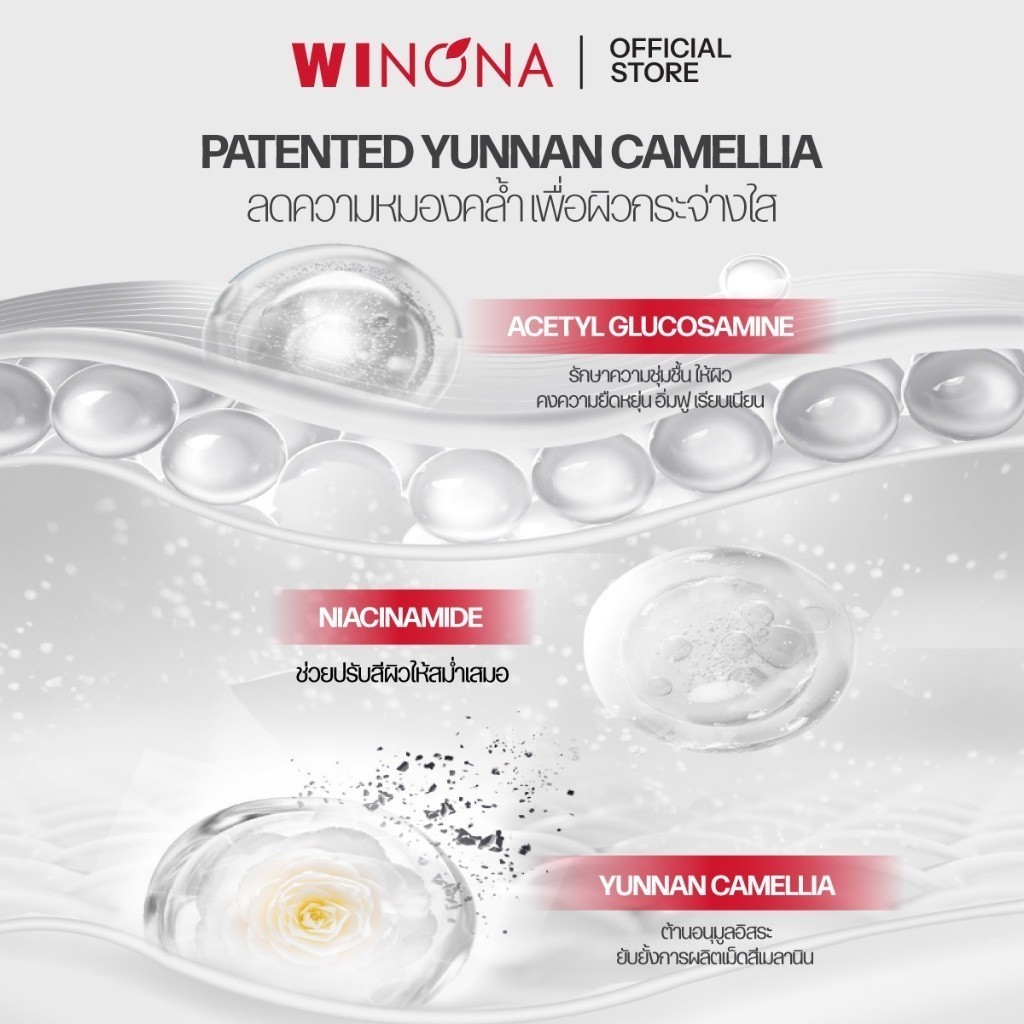 Winona Camellia-Lucent Essence Lotion วิโนน่า น้ำตบเอสเซนส์ เพิ่มความกระจ่างใสและความชุ่มชื้นให้กับผิว 30ml/120ml. — صورة 5