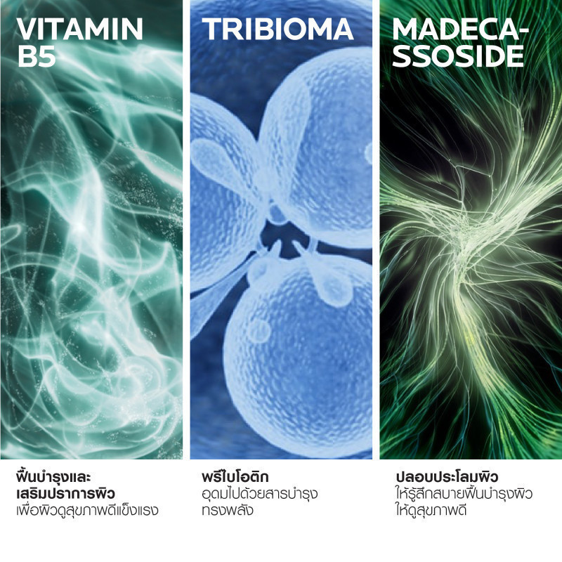 รูปภาพ 5