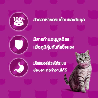 [จัดส่งจากคลัง] WHISKAS วิสกัส พ็อกเก็ตส์ อาหารเม็ด สำหรับแมวโต รสปลาทะเล 3 kg [8853301400107]
