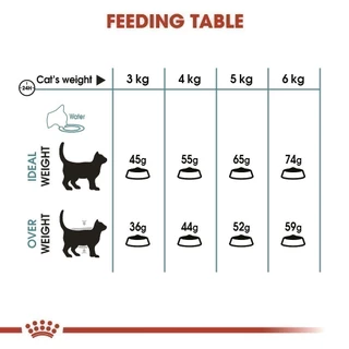 [เซตคู่สุดคุ้ม] Royal Canin Hairball Care + Hairball Care Jelly (12 ซอง) โรยัล คานิน อาหารแมวโต สูตรดูแลปัญหาก้อนขน