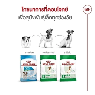 [เซตคู่สุดคุ้ม] Royal Canin Mini Adult 8+ 2kg+Royal Canin Mini Ageing 12+ Pouch Gravy สุนัขพันธุ์เล็ก อายุ 8 ปีขึ้นไป