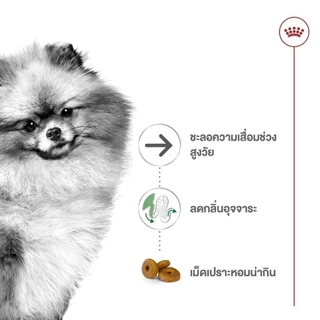 Royal Canin Mini Indoor Senior1.5kg อาหารเม็ดสุนัขสูงวัยพันธุ์เล็ก เลี้ยงในบ้าน อายุ8ปีขึ้นไป(Dry Dog Food, โรยัล คานิน)