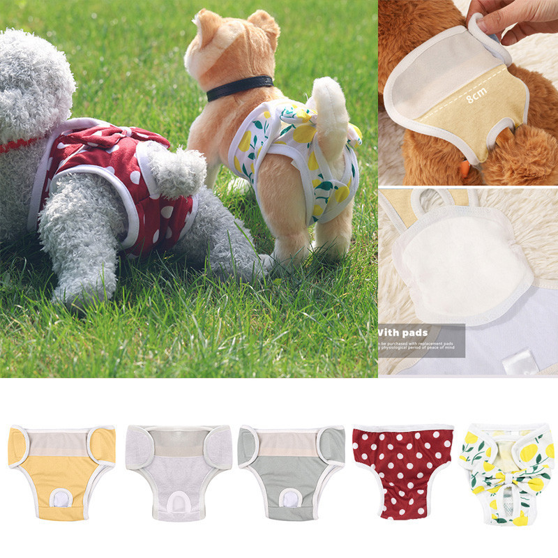 【Hipidog】กางเกงขาสั้น ผ้าอ้อม ล้างทําความสะอาดได้ สําหรับสัตว์เลี้ยง สุนัข - รูปที่ 2