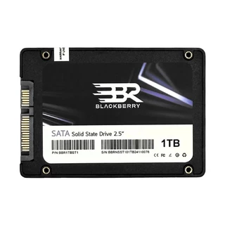 BLACKBERRY 1 TB SSD SATA (BBR1TBST1) - A0164961