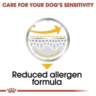 [12 ซอง] Royal Canin Dermacomfort Pouch Loaf อาหารเปียกสุนัขโต ทุกขนาด สำหรับผิวแพ้ง่าย (โลฟเนื้อละเอียด, โรยัล คานิน)