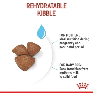 Royal Canin Mini Starter Mother & Baby Dog 1kg อาหารเม็ดแม่สุนัขและลูกสุนัขหย่านม พันธุ์เล็กอายุ 1-2 เดือน (โรยัล คานิน)