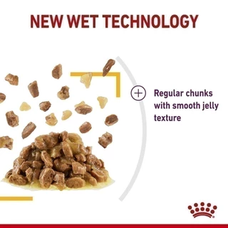 [12 ซอง] Royal Canin Sensory Taste Pouch Jelly อาหารเปียกแมวโตกินยากเลือกกิน รสชาติพิเศษ อายุ12เดือนขึ้นไป (โรยัล คานิน)