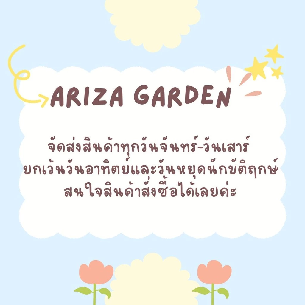 สินค้าลอตใหม่ !! ทรายใส่ตู้ปลา ทรายพรีเมี่ยม ทรายใส่ตู้ปลาอย่างดี แบ่งบรรจุ 1 กก. thumbnail 10