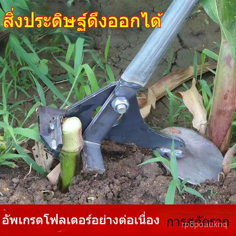 เครื่องถอนรากอเนกประสงค์ เครื่องถอนต้นมัน ถอนพริก ข้าวโพด มะเขือ ฝ้าย เหมาะกับงานเกษตร ใช้งานง่าย แข็งแรงทนทาน