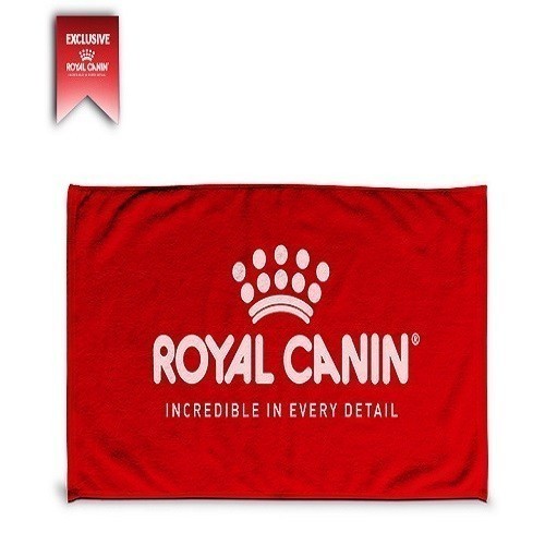 (ของแถม งดจำหน่าย) EC BEACH TOWEL