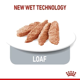 [เซตคู่] Royal Canin Indoor 4kg + Indoor Pouch Gravy 1 กล่อง อาหารเม็ด+เปียกแมวโต เลี้ยงในบ้าน (เกรวี่,โรยัล คานิน)