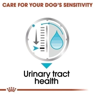 [12 ซอง] Royal Canin Urinary Care Pouch Loaf อาหารเปียกสุนัขโตทุกขนาด ดูแลสุขภาพทางเดินปัสสาวะ Wet Dog Food,โรยัล คานิน