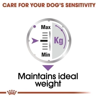 [12 ซอง] Royal Canin Sterilised Care Pouch Loaf อาหารเปียกสุนัขโต ทุกขนาด หลังทำหมัน (โลฟเนื้อละเอียด, โรยัล คานิน)