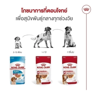 [10 ซอง] Royal Canin Medium Ageing 10+ Pouch Gravy อาหารเปียกสุนัขสูงวัย พันธุ์กลาง อายุ7ปีขึ้นไป (เกรวี่, โรยัล คานิน)