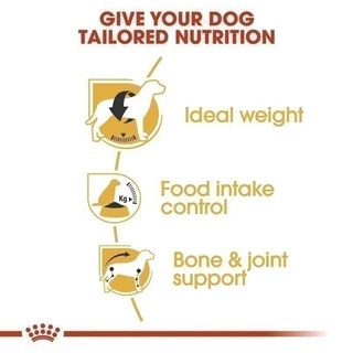 Royal Canin Beagle Adult 3kg อาหารเม็ดสุนัขโต พันธุ์บีเกิ้ล อายุ 12 เดือนขึ้นไป(Dry Dog Food,โรยัล คานิน)