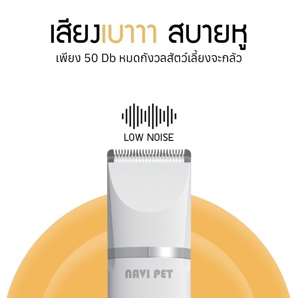 รูปภาพ 3