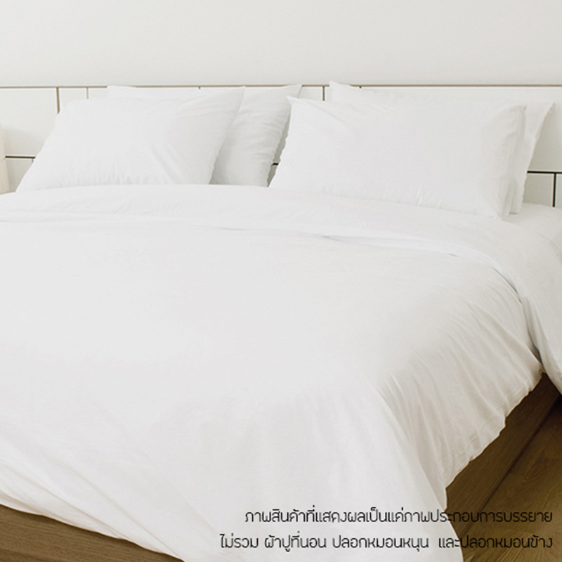KASSA HOTEL ผ้าปูที่นอน รุ่น 250T ขนาด 3.5 ฟุต สีขาว
