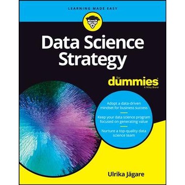 Data Science Strategy for Dummies [Paperback]
