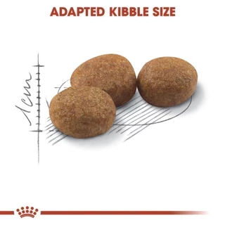 Royal Canin Sterilised 10kg อาหารเม็ดแมวโต ทำหมัน อายุ 1 ปีขึ้นไป (Dry Cat Food, โรยัล คานิน)