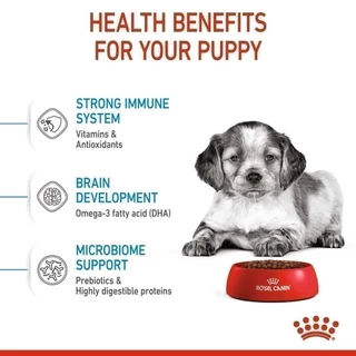 Royal Canin Medium Puppy 10kg อาหารเม็ดลูกสุนัข พันธุ์กลาง อายุ 2-12 เดือน (Dry Dog Food, โรยัล คานิน)